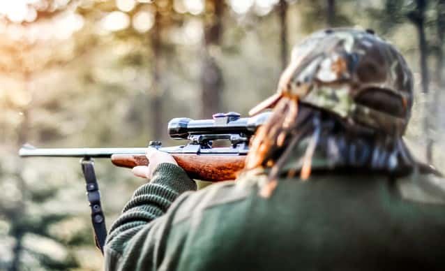 Best Elk Hunting Rifles – A Shot in the Dark!