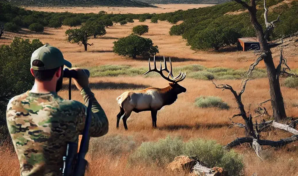 elk hunting texas